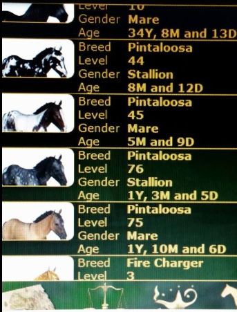 A Virtual Horse (AVH) at Top Web Games